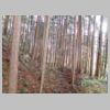 DSCN0748.JPG