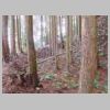 DSCN0750.JPG