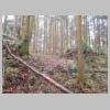 DSCN0752.JPG