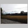 DSCN7689.JPG