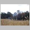 DSCN7690.JPG