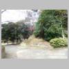 DSCN7695.JPG