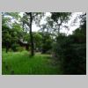 DSC00650.JPG