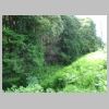 DSC00847.JPG