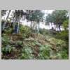 DSCN3929.JPG