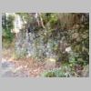 DSCN9726.JPG