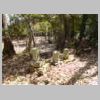 DSCN9731.JPG