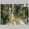 DSCN9737.JPG
