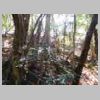 DSCN9742.JPG