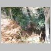 DSCN9759.JPG