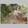 DSCN9764.JPG