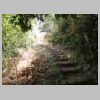 DSCN9765.JPG
