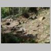 DSCN9767.JPG
