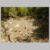 DSCN9768.JPG