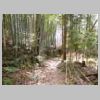 DSCN9772.JPG