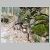 DSCN9773.JPG