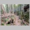 DSCN9774.JPG