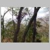 DSCN9796.JPG