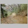 DSCN9797.JPG