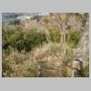 DSCN9799.JPG