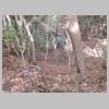 DSCN9808.JPG