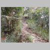 DSCN9818.JPG
