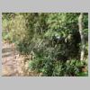 DSCN9829.JPG