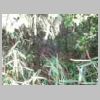 DSCN9830.JPG