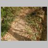 DSCN9833.JPG