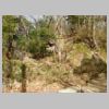 DSCN9852.JPG