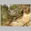 DSCN9853.JPG