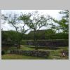 DSC01260.JPG
