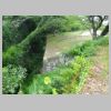 DSC01295.JPG