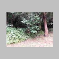 DSCN8645.JPG
