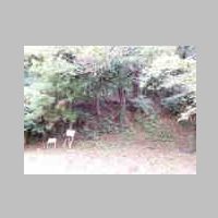 DSCN8648.JPG