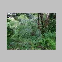 DSCN8649.JPG