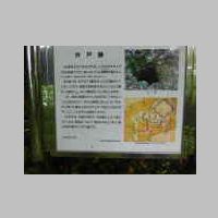 DSCN8650.JPG