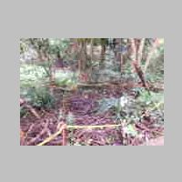 DSCN8651.JPG