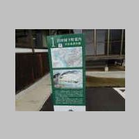 DSCN8681.JPG