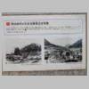 DSCN8253.JPG