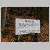 DSCN8178.JPG