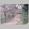 DSCN8217.JPG