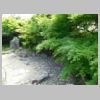 DSCN0828.JPG