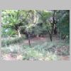 DSCN0852.JPG