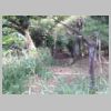DSCN0853.JPG