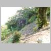DSCN0881.JPG