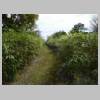 DSCN8730.JPG