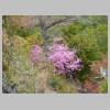 DSCN8767.JPG