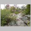 DSCN8772.JPG