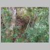 DSCN8790.JPG